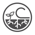 Weed Suppression, Weed Control, Vegetation Control, Knotweed Control